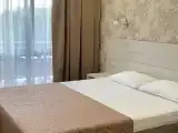 Двухместный номер Делюкс с 1 кроватью и балконом
