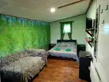 Двухместный номер с 1 кроватью