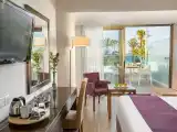 Superior Double or Twin Room with Pool View