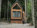 Дом с видом на лес