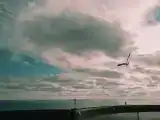 Апартаменты с видом на море