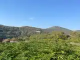 Таунхаус с выходом во двор