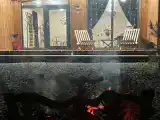 Четырехместный номер