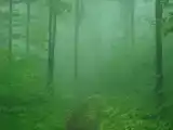 Люкс с 2 спальнями