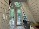 Ёлочка