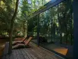 Дудник лесной