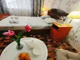Семейный номер с террасой