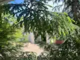 Люкс с 1 спальней