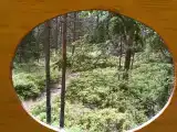Бунгало