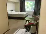 Двухместный номер с 1 кроватью
