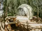 Купол