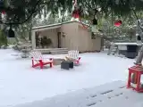 Дом с видом на лес