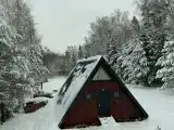 Дом с видом на лес