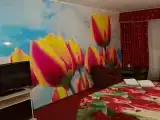 Номер с кроватью размера «king-size»