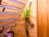 Двухместный номер с 1 кроватью и собственной ванной комнатой