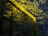 Четырехместный стандарт