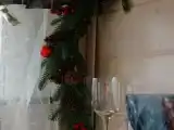 Двухместный номер с 1 кроватью и видом на парк