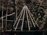 Двухместный номер Делюкс с 1 кроватью