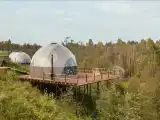 Сфера Алтай