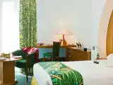 Deluxe Room with 2 Single Beds