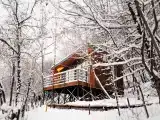 Вилла с 1 спальней