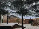 Дом с видом на лес