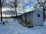 Дом с видом на лес
