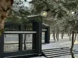 Дом с видом на лес