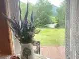 трехместный дом с видом на реку