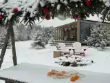 Коттедж с видом на лес
