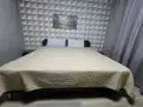 Двухместный номер Делюкс с 1 кроватью