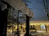 Лесной