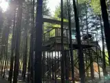 Зеркальный дом на дереве Романтик