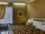 Стандарт "Новоладожский"
