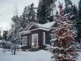 Дом с видом на лес