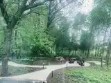 Дом с видом на лес