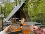 "Дятел"