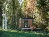 Недотрога желёзконосная