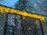 Четырехместный номер