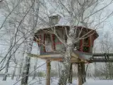 Дом с видом на лес