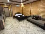Номер-студия с кроватью размера "king-size" и диван-кроватью