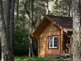 Коттедж с видом на лес