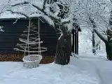 Семейный номер с террасой