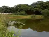 Семейный номер с террасой