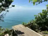 Полянка с видом на море №14