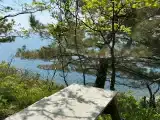 Полянка с видом на море №12