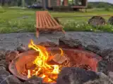 Дом с видом на лес