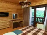 Двухместный номер с 1 кроватью
