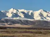 Семейный номер
