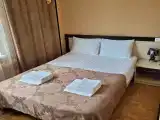 Двухместный номер Делюкс с 1 кроватью
